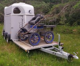 Van 2 P - Porte-calèche cheval liberte