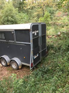 Van Fautras oblic +3